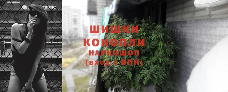 МАРИХУАНА SATIVA & INDICA  купить закладку  Ноябрьск 